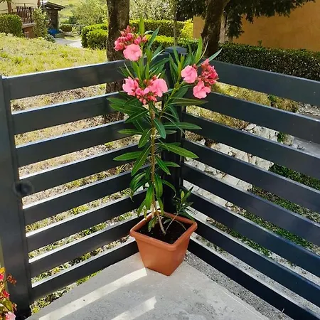 Apartmán Apartma Pep Kobarid