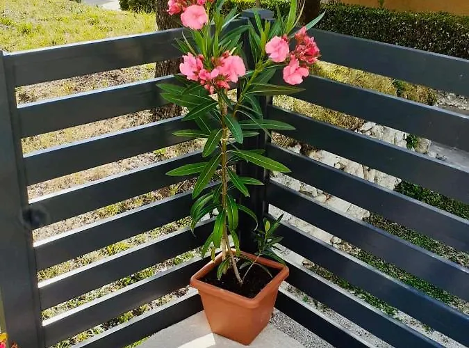 Apartament Apartma Pep Kobarid